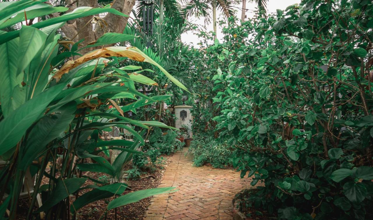 فندق Chateau Gardens ليك وورث المظهر الخارجي الصورة